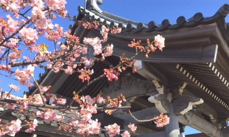 法蔵院 永代供養墓 