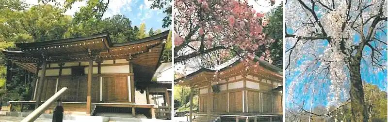 自然豊かな妙誠寺