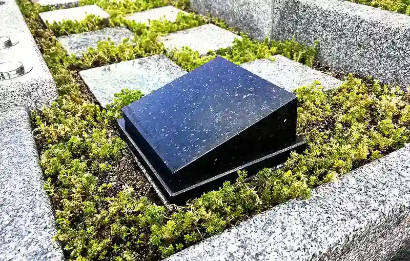 区画の写真