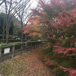 自然豊かな横須賀市の安息の聖地