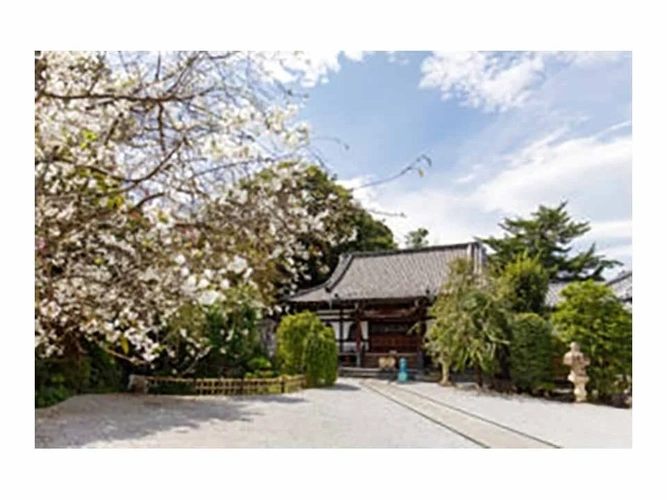 本長寺 樹木葬「星彩～せいさい～」 