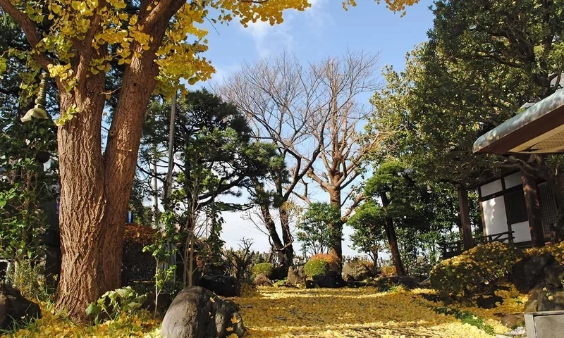 横浜市神奈川区 陽光院