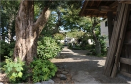 相模原フラワージュ 寺院内風景①