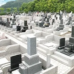 普通墓地