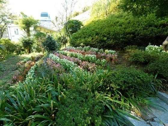 横浜市港北区 大倉山熊野霊園