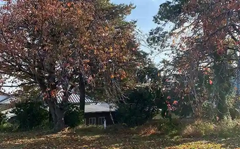 公園のような美しい環境で心安らぐお墓参り