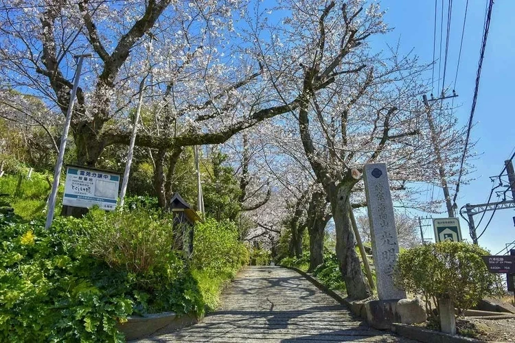 永代供養納骨堂 とこしえの塔 