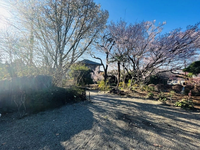 長善寺 さぎ沼墓苑 緑豊かな自然