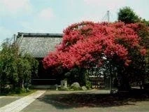 鎌倉市 法華山 本興寺