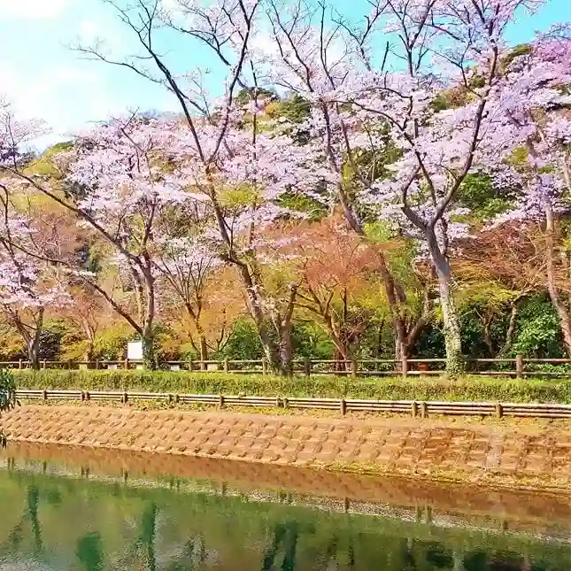 鎌倉湖墓苑 四季の花木が彩ります