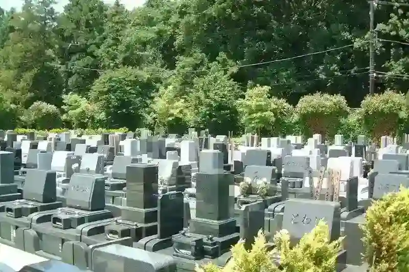 墓域
