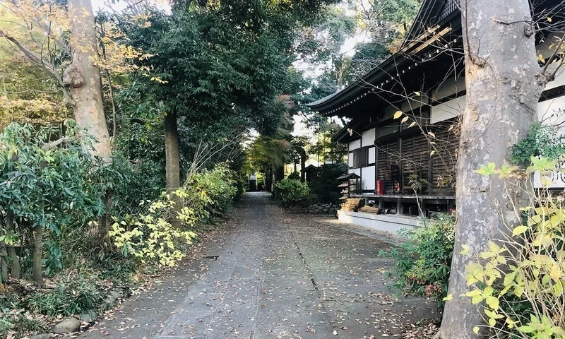 大和市 東勝寺 のうこつぼ