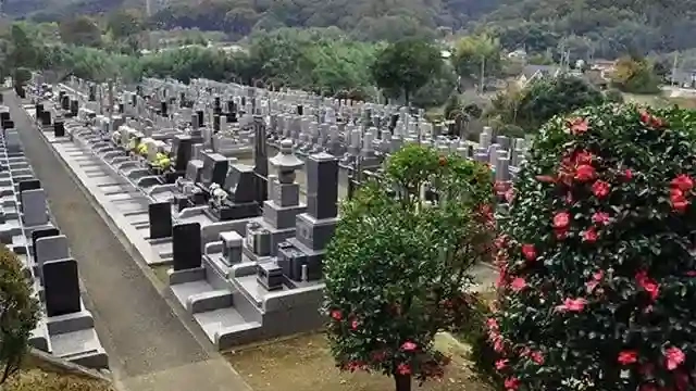 厚木中央霊園　墓地の様子