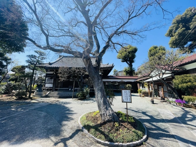 長澤山 秋月院 境内