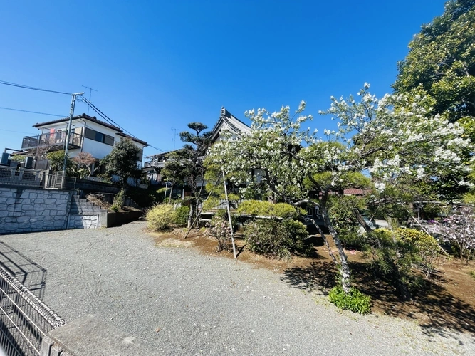 長澤山 秋月院 植栽