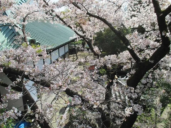 横浜市青葉区 徳恩寺