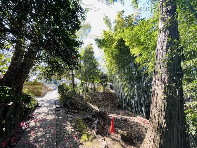 廣福寺墓苑 緑豊かな寺院