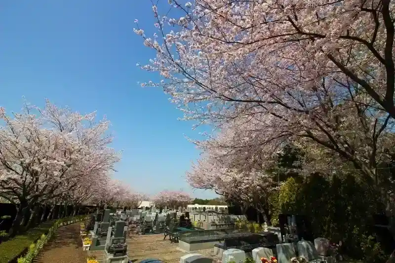 茅ヶ崎霊園 永久の郷 桜と墓域