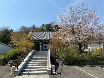 緑豊かで心落ち着く鎌倉市の寺院