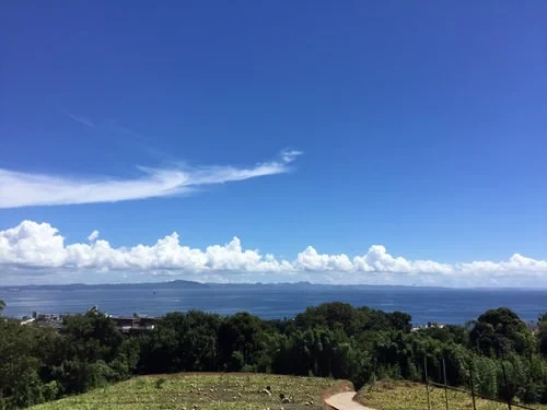 三浦市 三樹院 のうこつぼ