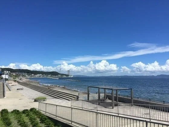 三樹院 のうこつぼ 