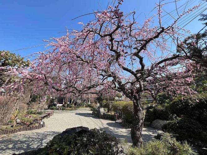 東学寺 のうこつぼ 