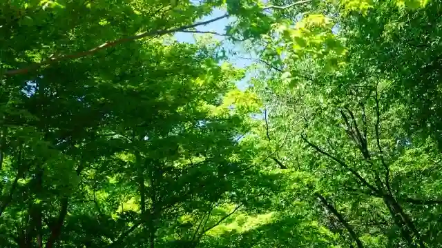 緑豊かで心落ち着く横浜市鶴見区の霊園