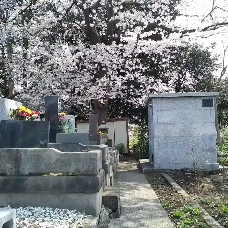 豊かな自然と落ち着いた雰囲気の霊園