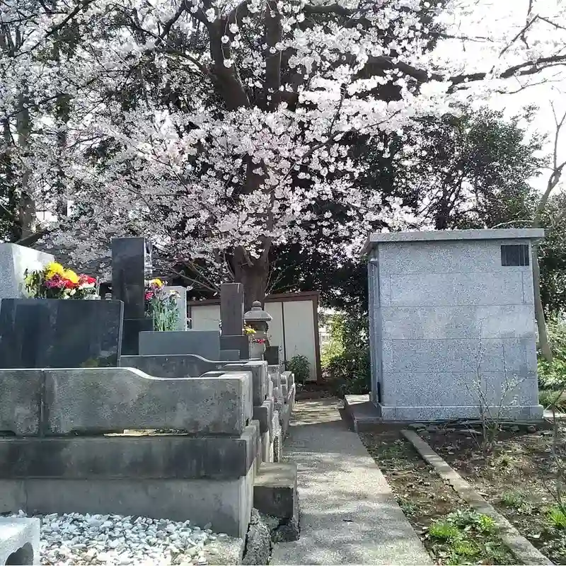 観音寺 墓所