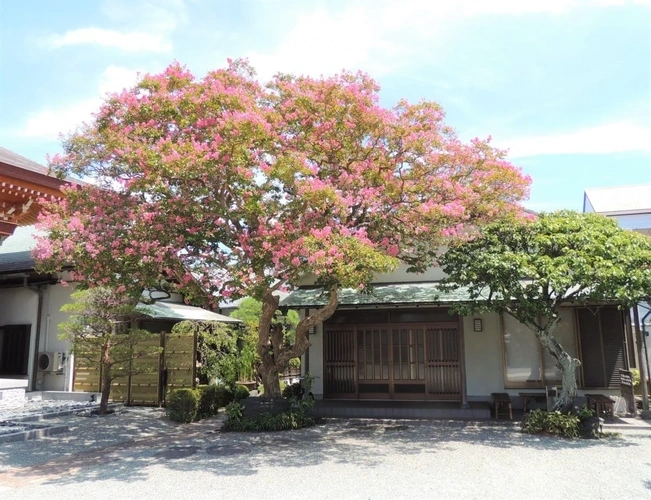 妙昌寺 汐彩墓苑 