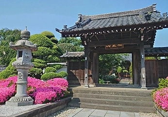 衹王山 妙法寺 山門