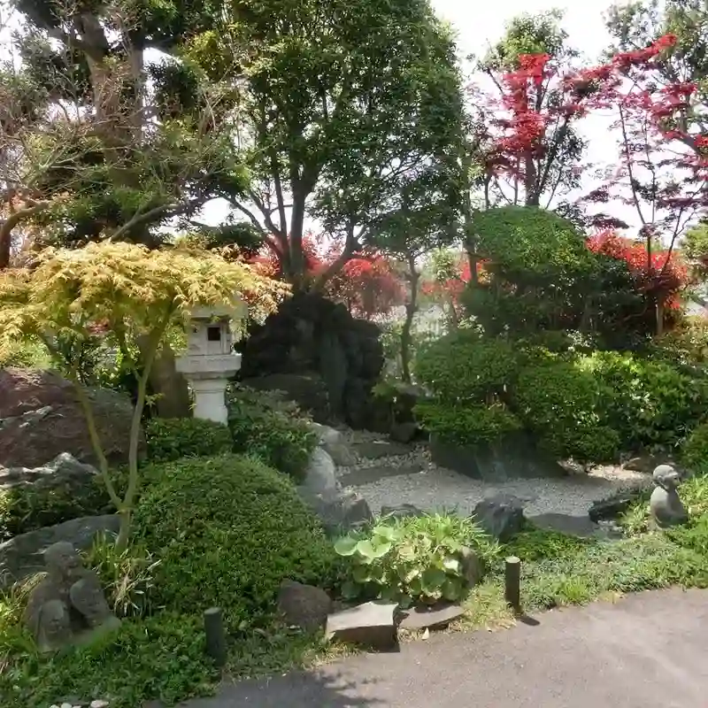 浄泉寺 緑溢れる境内