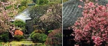 鎌倉市 行時山 光則寺