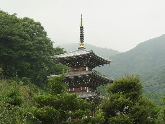 伊勢原市 日向霊園