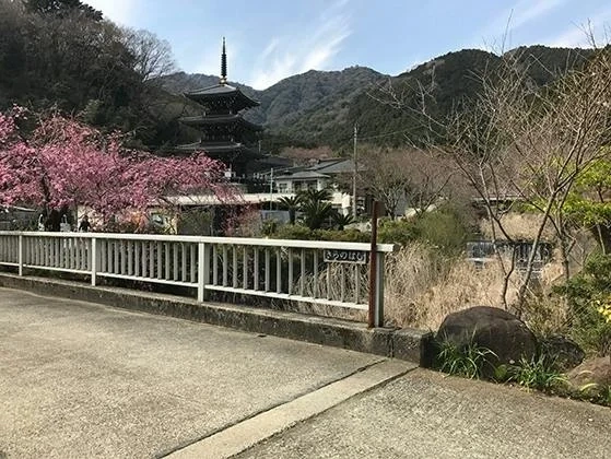 日向霊園 