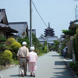 緑に包まれた歴史を感じられるお寺