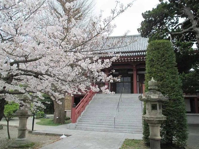 横須賀市 長安寺