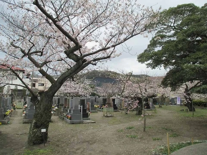 長安寺 