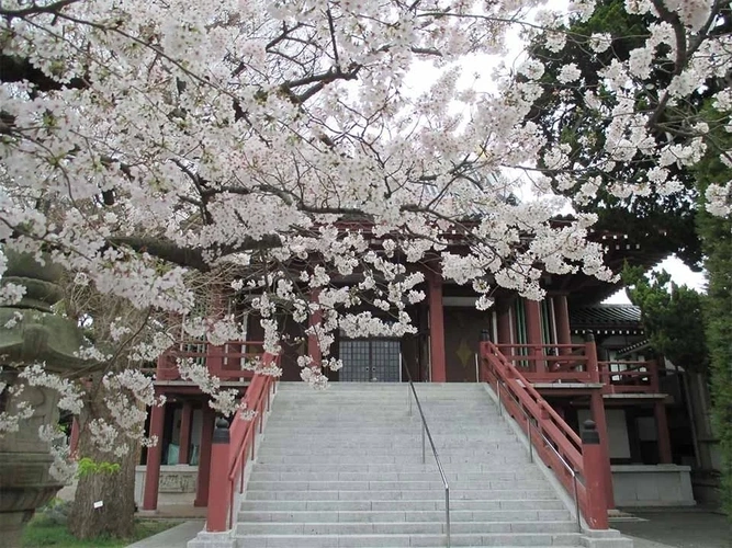 長安寺 