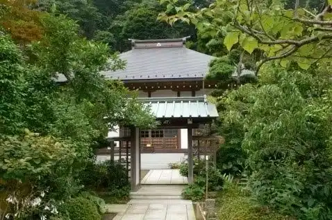 緑に包まれた歴史を感じられるお寺