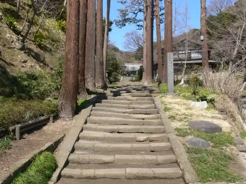龍峰院 歩きやすい階段