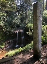 源頼朝も信仰した悠久の歴史を持つ聖地