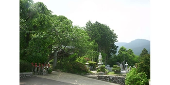 歴史を感じるお寺