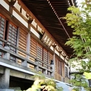 臨済宗大本山円覚寺山内 白雲庵 木漏れ日と風情を感じる