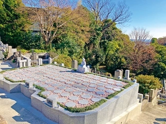 永代供養の樹木葬