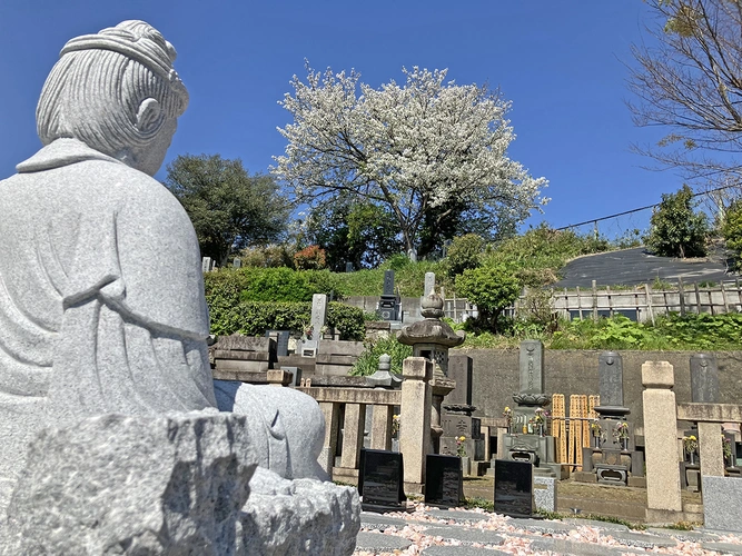 横浜慶珊寺樹木葬墓地 