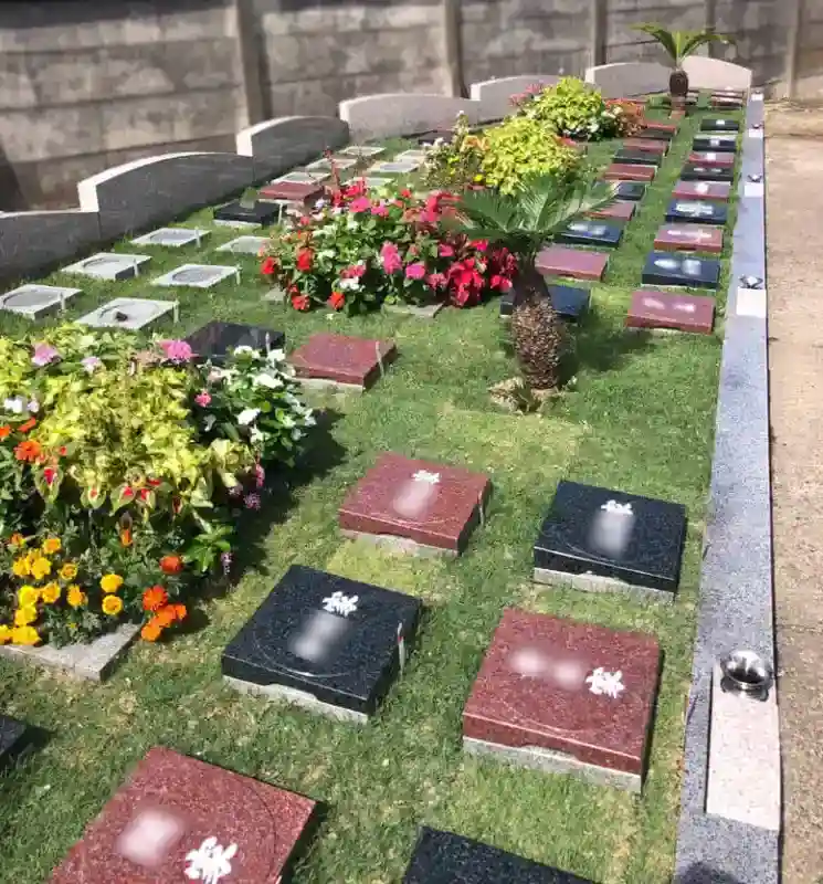 茅ヶ崎市 プレミアム茅ヶ崎湘南の空樹木葬墓地