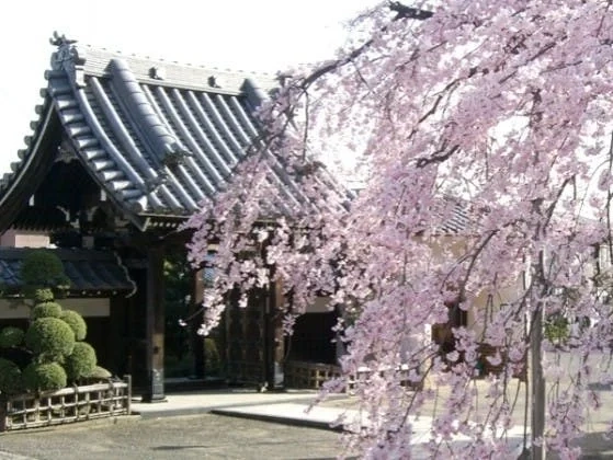 横浜市港北区 本長寺 (長命殿)