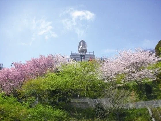 三浦市 花山曼荼羅聖苑 樹木葬