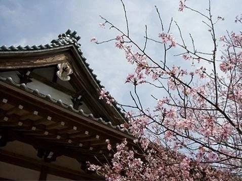 横浜市泉区 西林寺